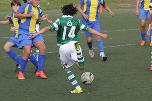 米兰体育-上海申花再遭柔佛新山逆转，1-3失利痛失连胜机会